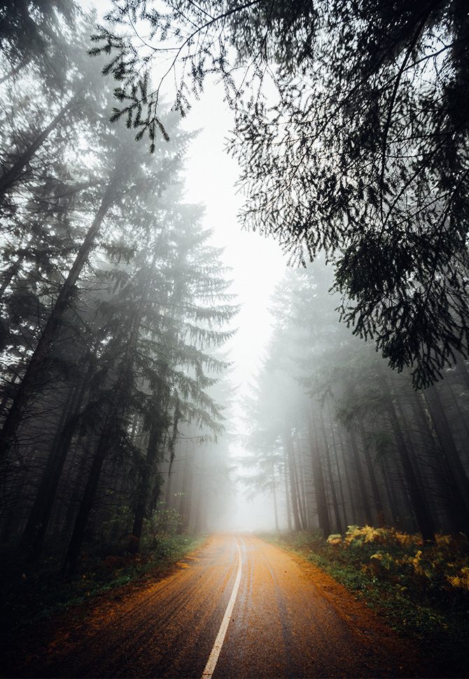 Nature22_670x970